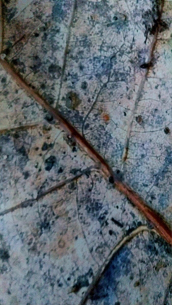 980a06d1-38cd-4150-a2fd-02c4996e5ab1.jpeg